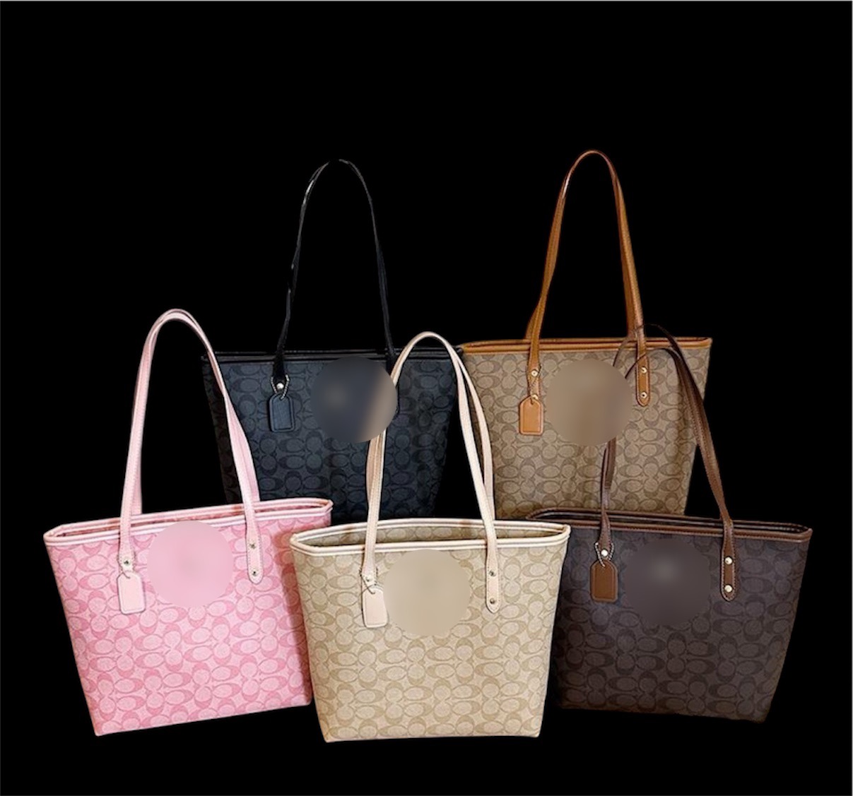 C*ACH Handbag