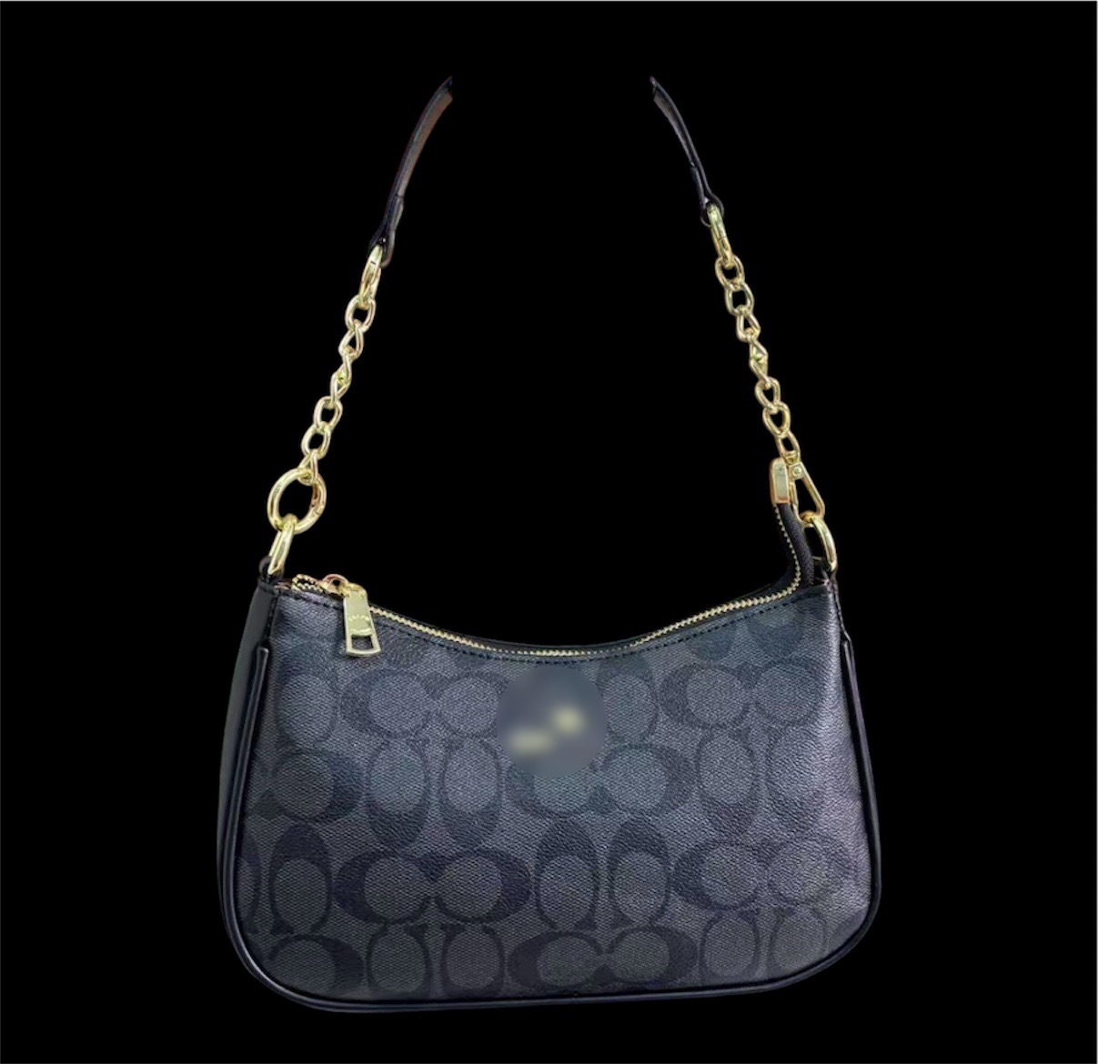 C*ACH Purse